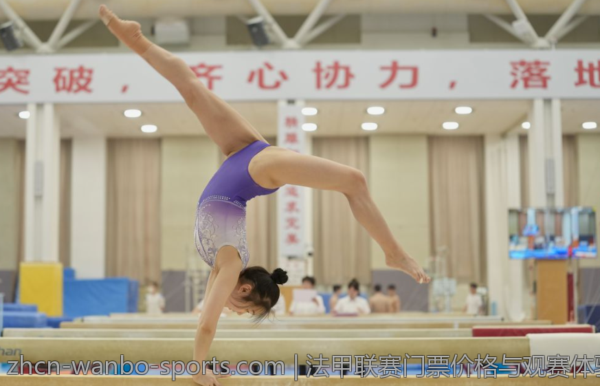 法甲联赛门票价格与观赛体验